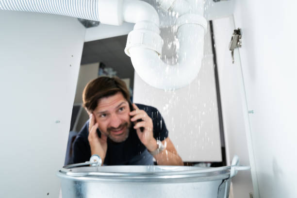 Best Commercial Plumbing Services  in Caseyvle, IL