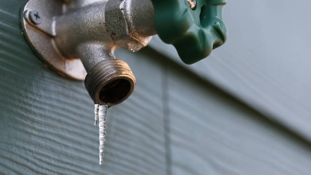 Best Commercial Plumbing Services  in Caseyvle, IL