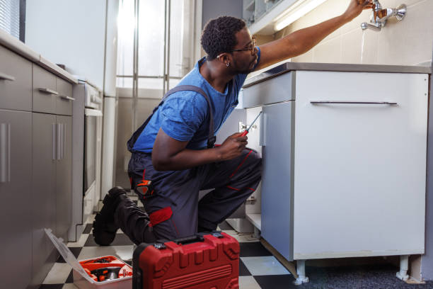 Best Commercial Plumbing Services  in Caseyvle, IL